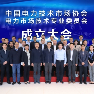 中国电力技术市场协会电力市场技术专业委员会成立
