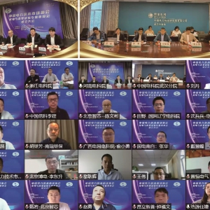 中国电力技术市场协会配电与真型试验专业委员会成立