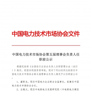 中国电力技术市场协会第五届理事会负责人任职前公示